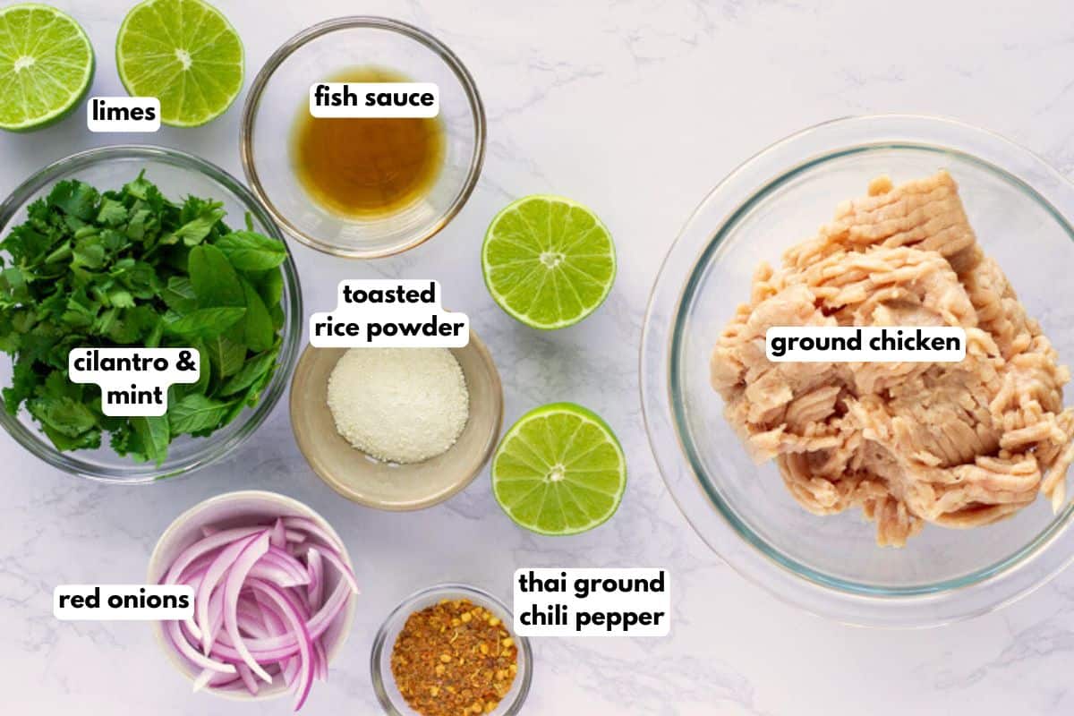 Ingredients with text- limes, fish sauce, cilantro, mint, toasted rice powder, ground chicken, red onions, thai ground chili pepper.